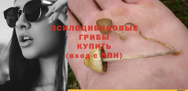 крисы Абинск