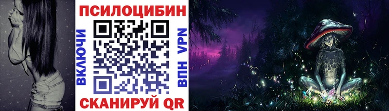 Псилоцибиновые грибы Magic Shrooms Чкаловск