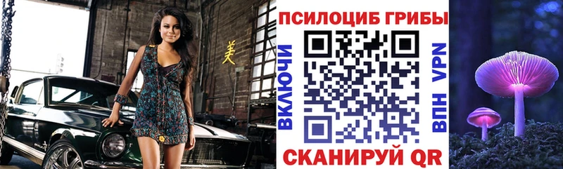 Псилоцибиновые грибы мухоморы  где продают наркотики  Чкаловск 