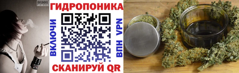 МАРИХУАНА конопля  shop как зайти  Чкаловск  гидра зеркало 